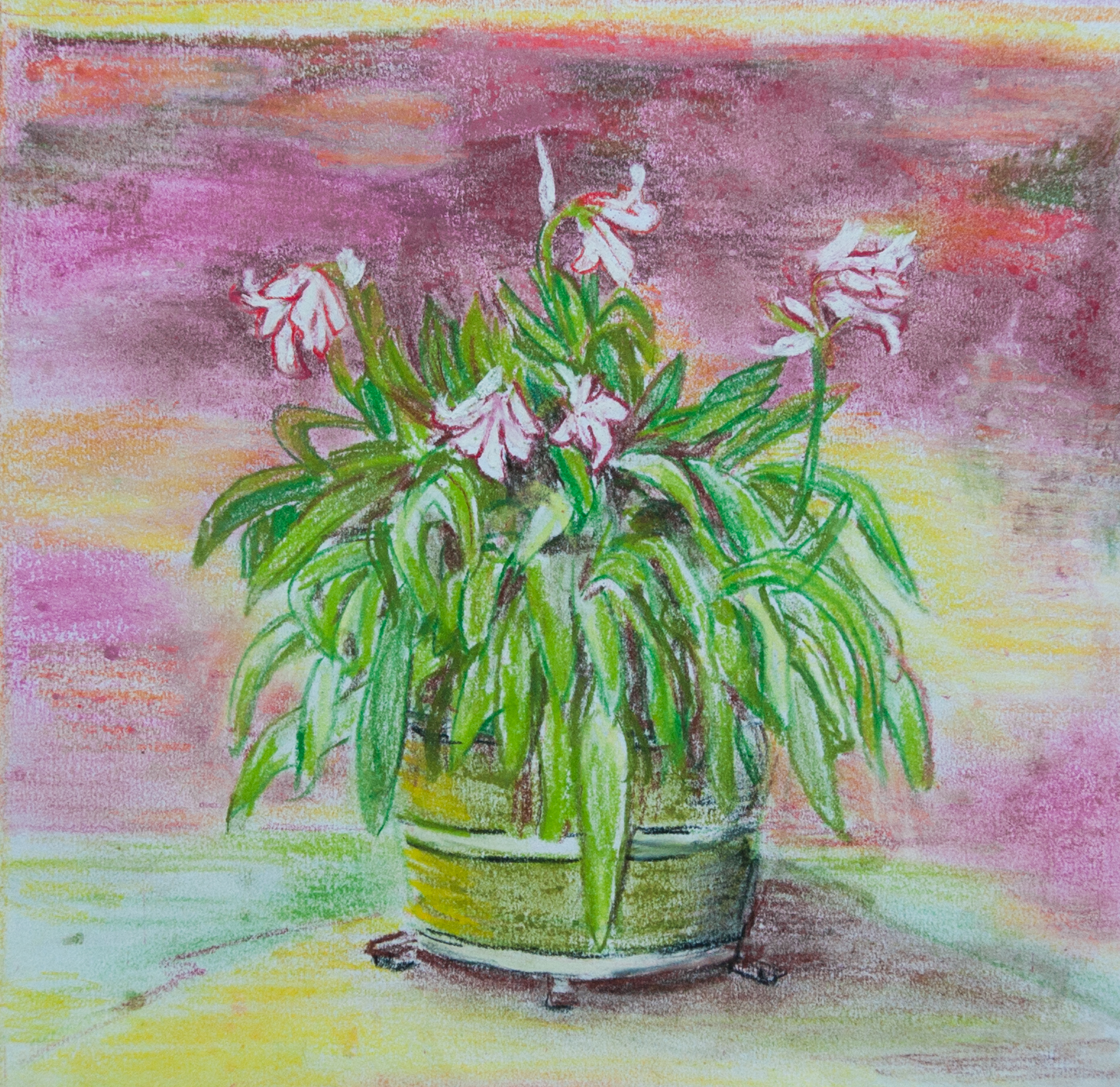 plant